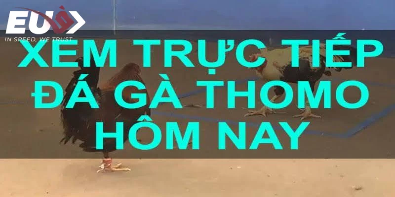 ga-da-thomo-hom-nay-1